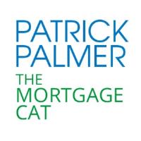 Pat The Mortgage Cat image 5